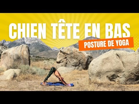 Chien tête en bas : le tuto en vidéo